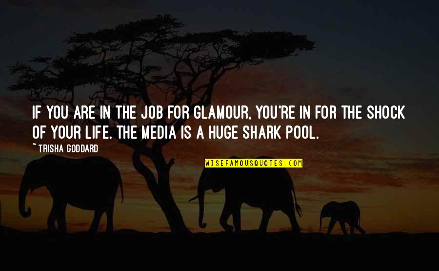 Fidel V Ramos Quotes By Trisha Goddard: If you are in the job for glamour, Fidel V Ramos Quotes By Trisha Goddard: If you are in the job for glamour,