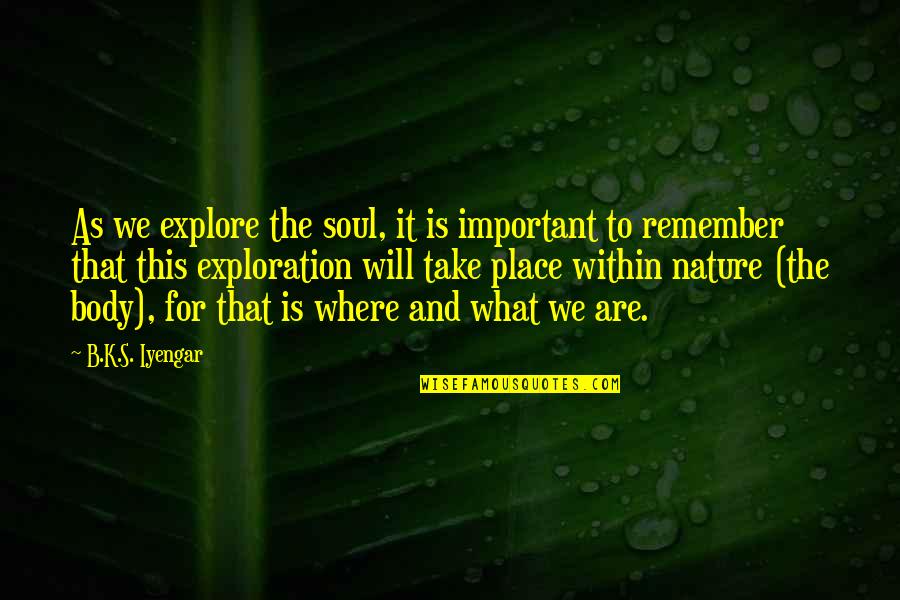 Fidele Quotes By B.K.S. Iyengar: As we explore the soul, it is important