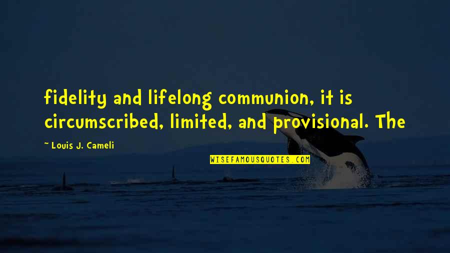Fidelity Quotes By Louis J. Cameli: fidelity and lifelong communion, it is circumscribed, limited,