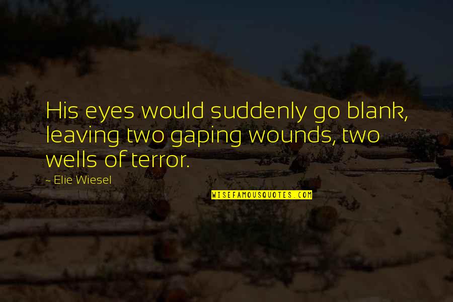 Fidelma Healy Eames Quotes By Elie Wiesel: His eyes would suddenly go blank, leaving two