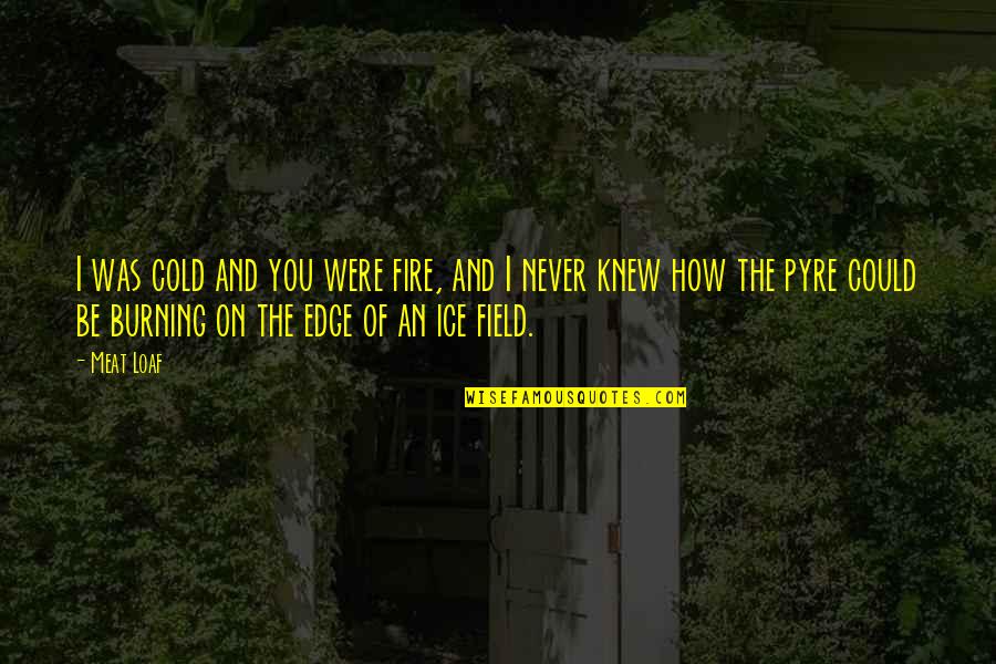 Field Edge Quotes By Meat Loaf: I was cold and you were fire, and
