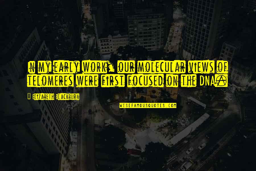 Field Goal Quotes By Elizabeth Blackburn: In my early work, our molecular views of