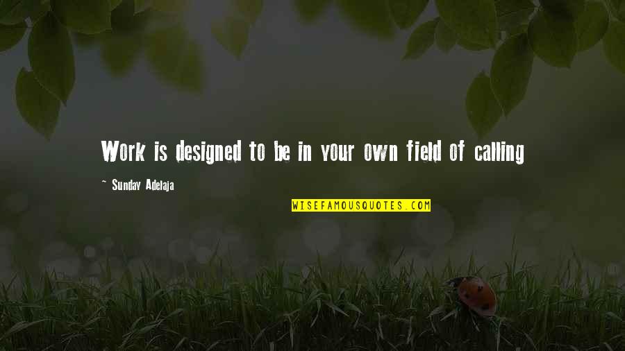 Field Work Quotes By Sunday Adelaja: Work is designed to be in your own