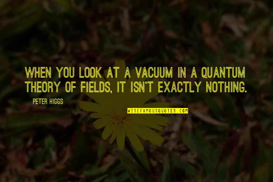 Fields Quotes By Peter Higgs: When you look at a vacuum in a