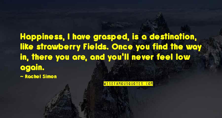 Fields Quotes By Rachel Simon: Happiness, I have grasped, is a destination, like