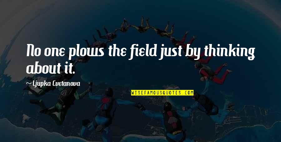 Fieldwork Quotes By Ljupka Cvetanova: No one plows the field just by thinking