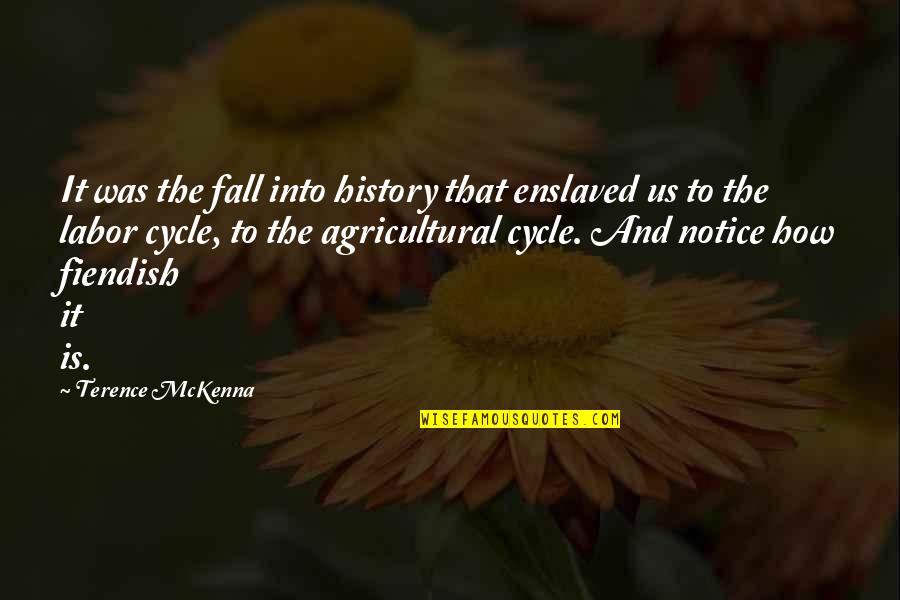 Fiendish Quotes By Terence McKenna: It was the fall into history that enslaved