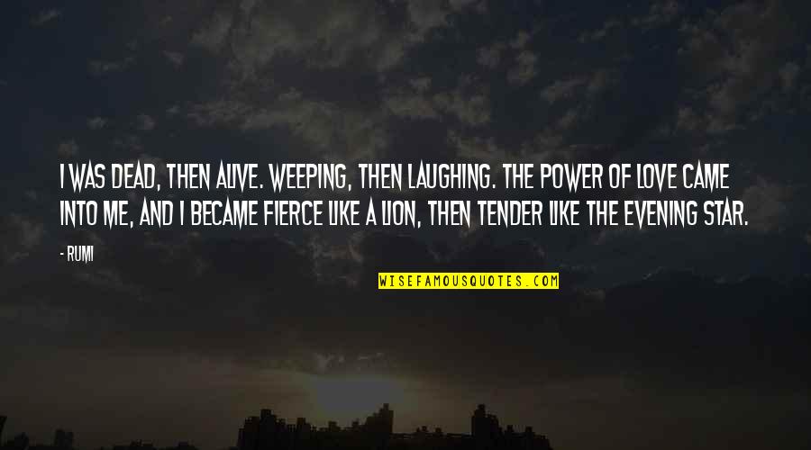 Fierce Lion Quotes By Rumi: I was dead, then alive. Weeping, then laughing.