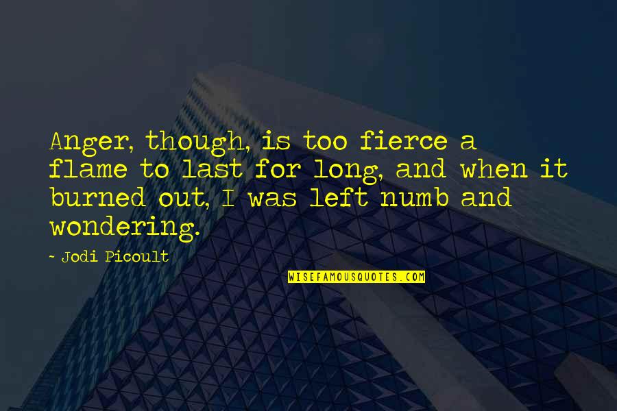 Fierce Quotes By Jodi Picoult: Anger, though, is too fierce a flame to Fierce Quotes By Jodi Picoult: Anger, though, is too fierce a flame to
