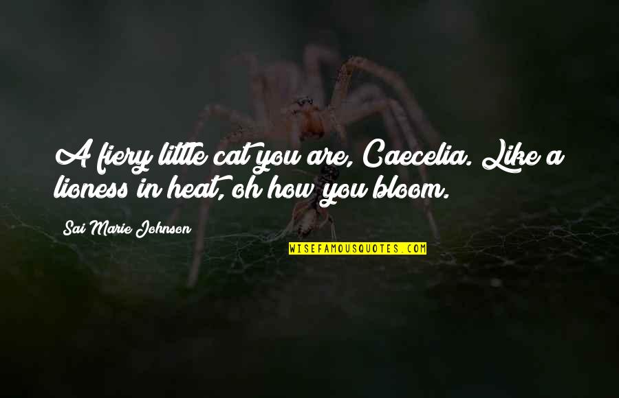 Fiery Quotes By Sai Marie Johnson: A fiery little cat you are, Caecelia. Like Fiery Quotes By Sai Marie Johnson: A fiery little cat you are, Caecelia. Like