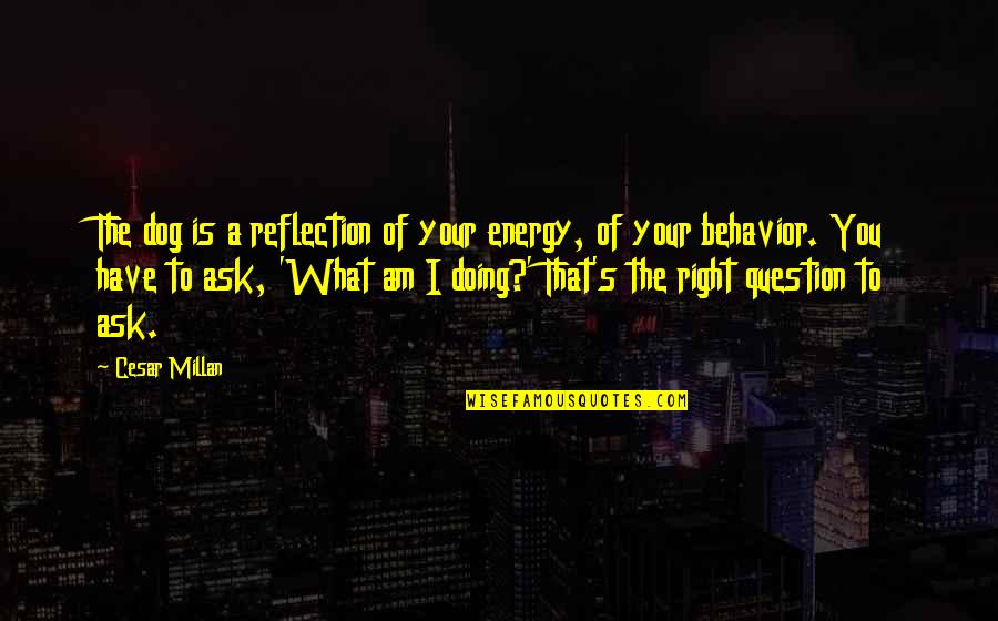Fiery Sky Quotes By Cesar Millan: The dog is a reflection of your energy,