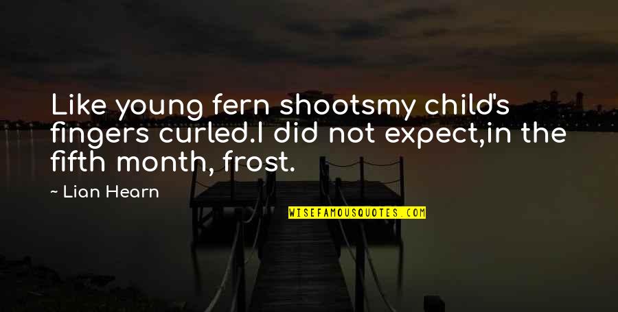 Fifth Child Quotes By Lian Hearn: Like young fern shootsmy child's fingers curled.I did
