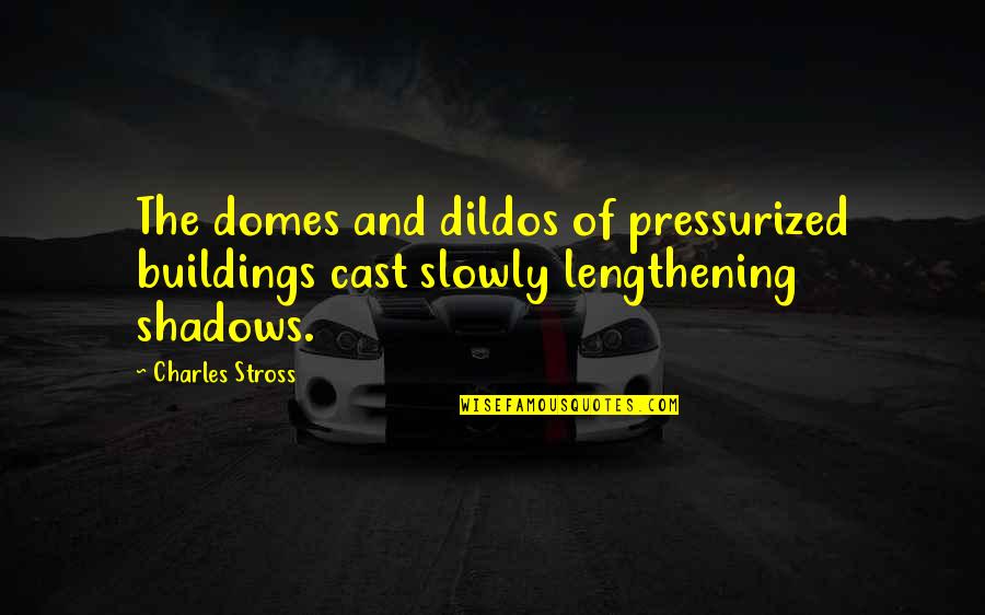 Fifty And Fabulous Quotes By Charles Stross: The domes and dildos of pressurized buildings cast