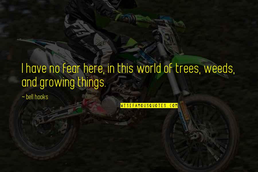 Figes Monet Quotes By Bell Hooks: I have no fear here, in this world