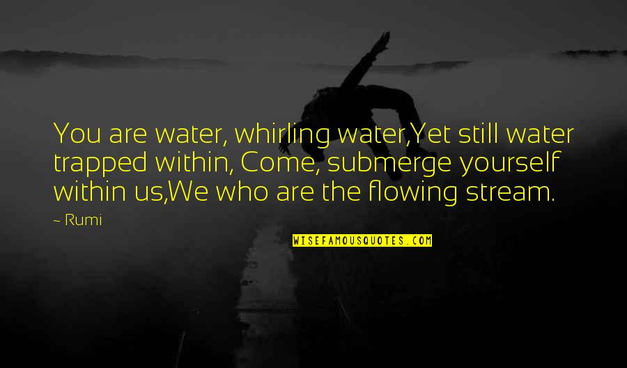 Fight Club Book Consumerism Quotes By Rumi: You are water, whirling water,Yet still water trapped