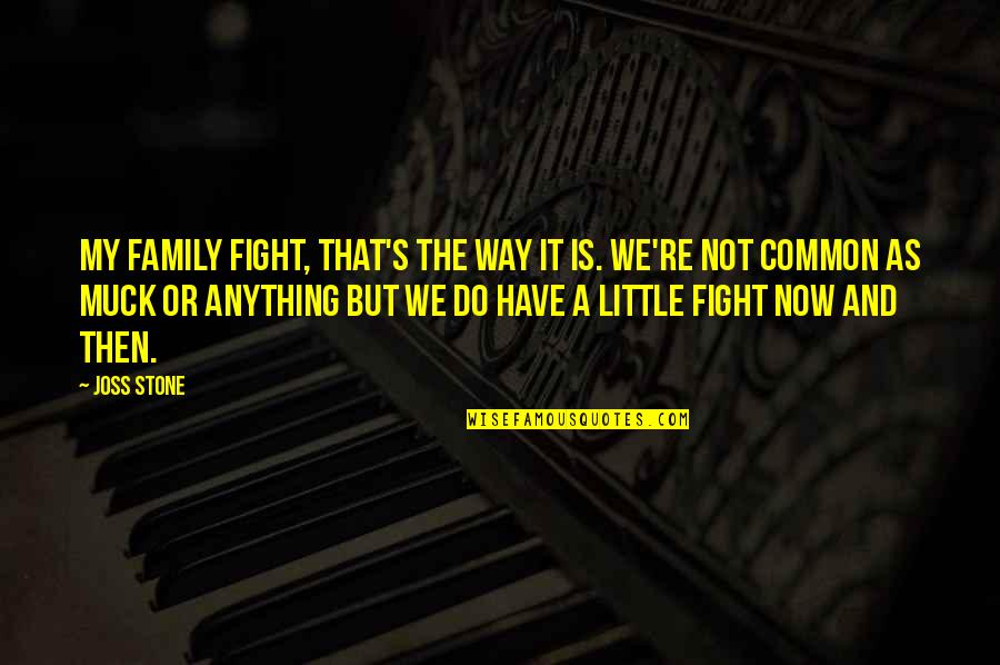 Fight For My Family Quotes By Joss Stone: My family fight, that's the way it is.