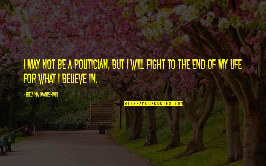 Fight For What You Believe In Quotes By Bidzina Ivanishvili: I may not be a politician, but I