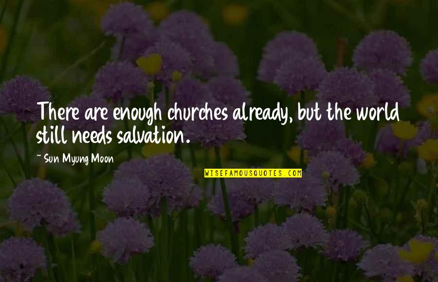 Fight For What You Believe In Quotes By Sun Myung Moon: There are enough churches already, but the world