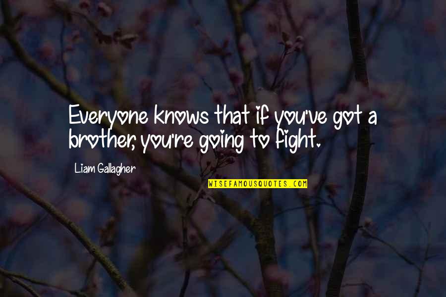 Fight For Your Brother Quotes By Liam Gallagher: Everyone knows that if you've got a brother,