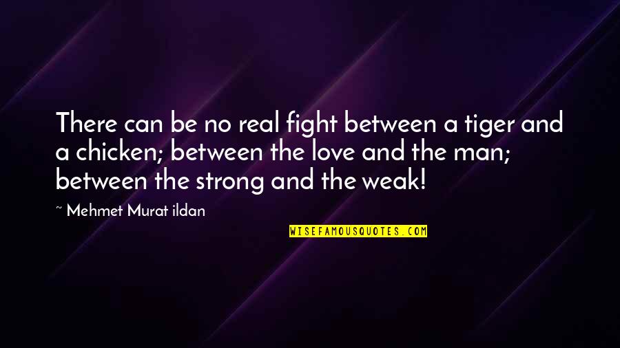 Fight For Your Love Quotes By Mehmet Murat Ildan: There can be no real fight between a