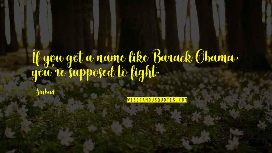 Fight Like A Quotes By Sinbad: If you got a name like Barack Obama,
