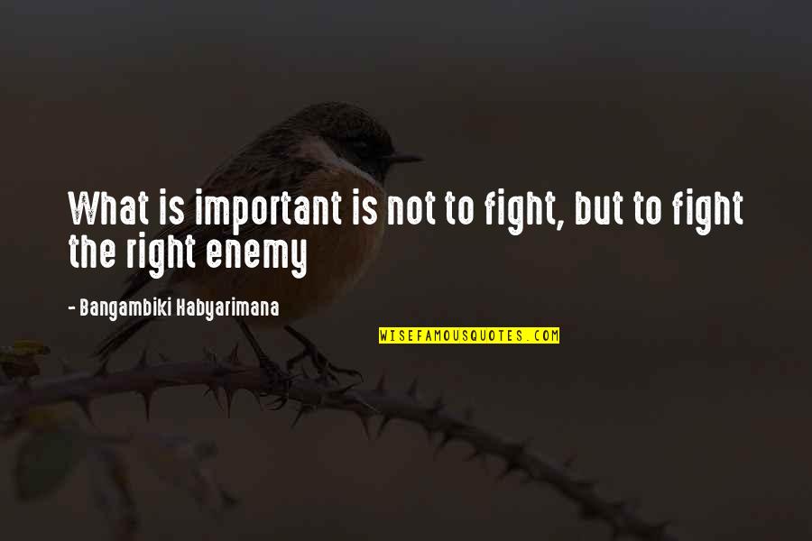 Fight What's Right Quotes By Bangambiki Habyarimana: What is important is not to fight, but