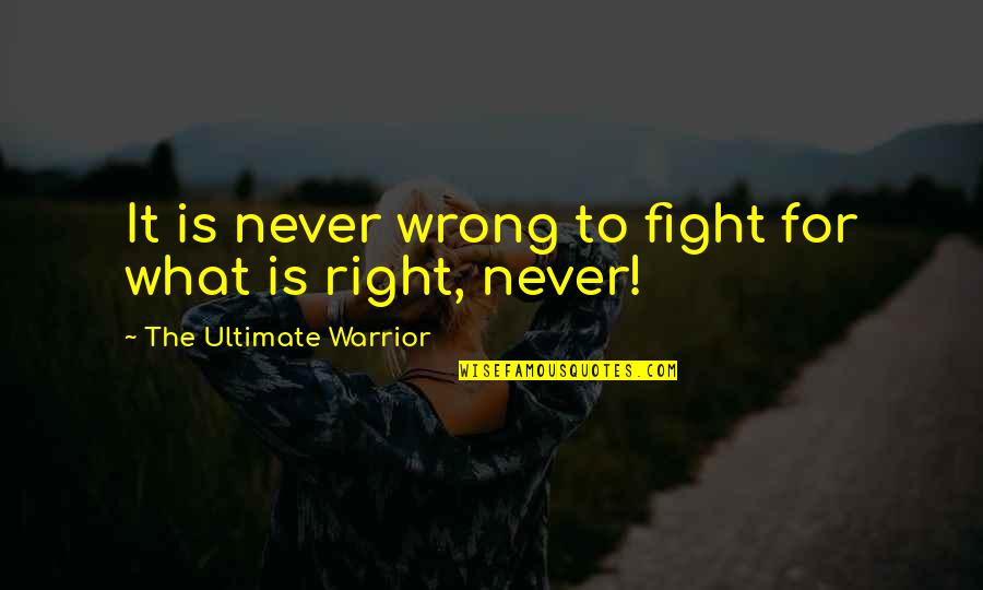 Fight What's Right Quotes By The Ultimate Warrior: It is never wrong to fight for what