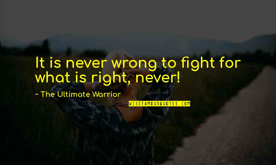 Fight What's Right Quotes By The Ultimate Warrior: It is never wrong to fight for what Fight What's Right Quotes By The Ultimate Warrior: It is never wrong to fight for what