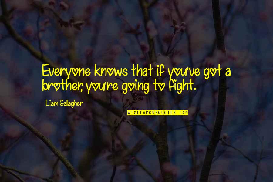 Fight With Brother Quotes By Liam Gallagher: Everyone knows that if you've got a brother,
