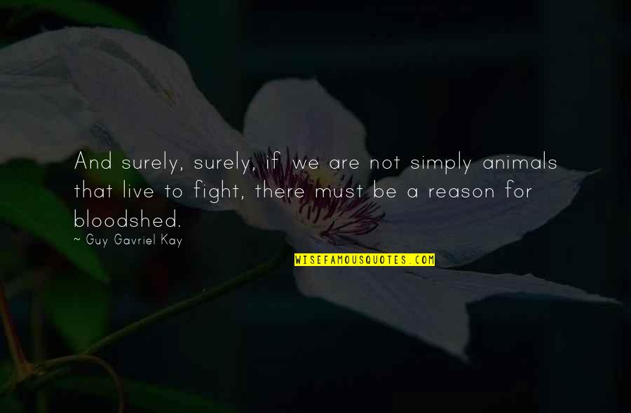 Fight Without Reason Quotes By Guy Gavriel Kay: And surely, surely, if we are not simply