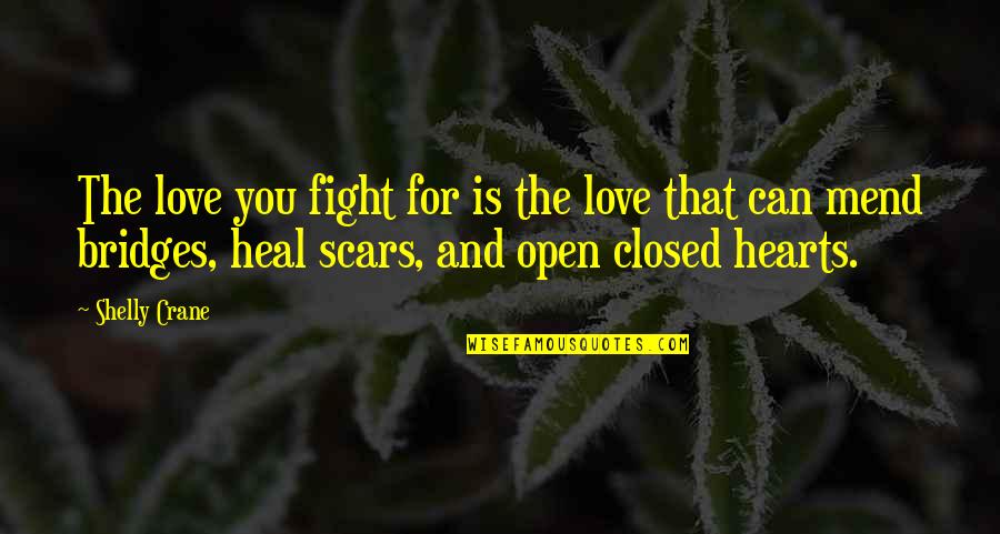 Fight You Love Quotes By Shelly Crane: The love you fight for is the love