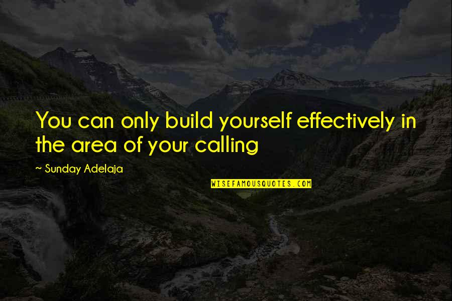 Fighter Aircraft Quotes By Sunday Adelaja: You can only build yourself effectively in the