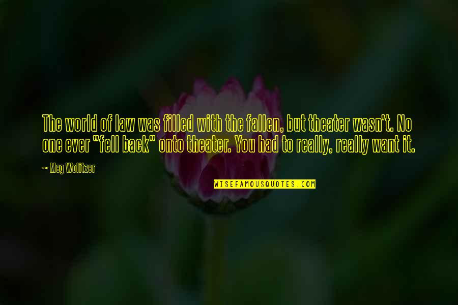 Fighting Crime Funny Quotes By Meg Wolitzer: The world of law was filled with the