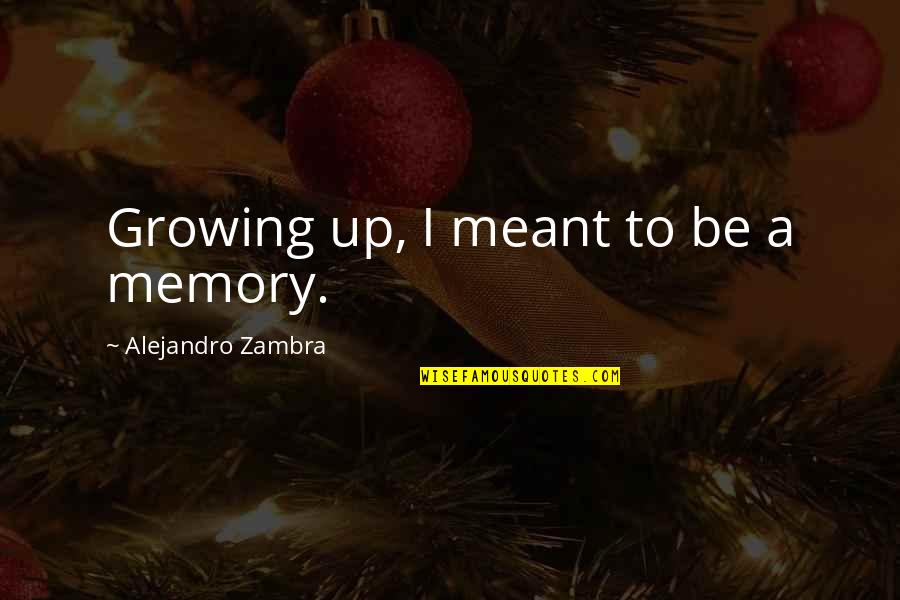 Fighting Enemies Quotes By Alejandro Zambra: Growing up, I meant to be a memory.