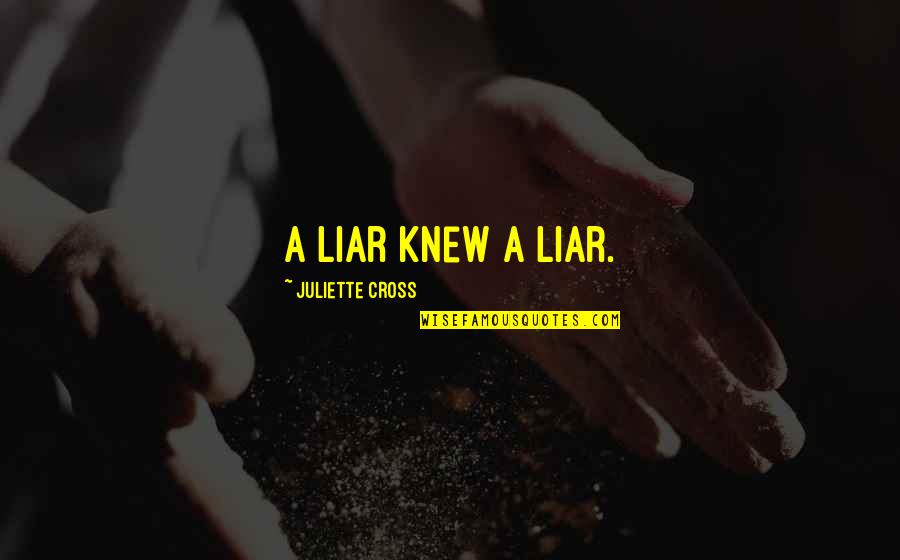 Fighting For A Girl Quotes By Juliette Cross: A liar knew a liar.
