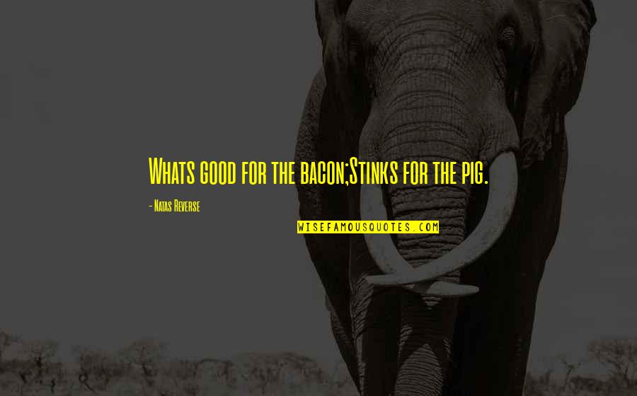 Fighting For Good Quotes By Natas Reverse: Whats good for the bacon;Stinks for the pig.