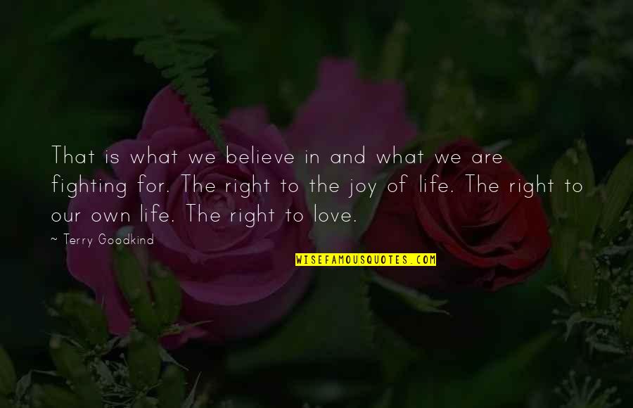 Fighting For The Love Of Your Life Quotes By Terry Goodkind: That is what we believe in and what