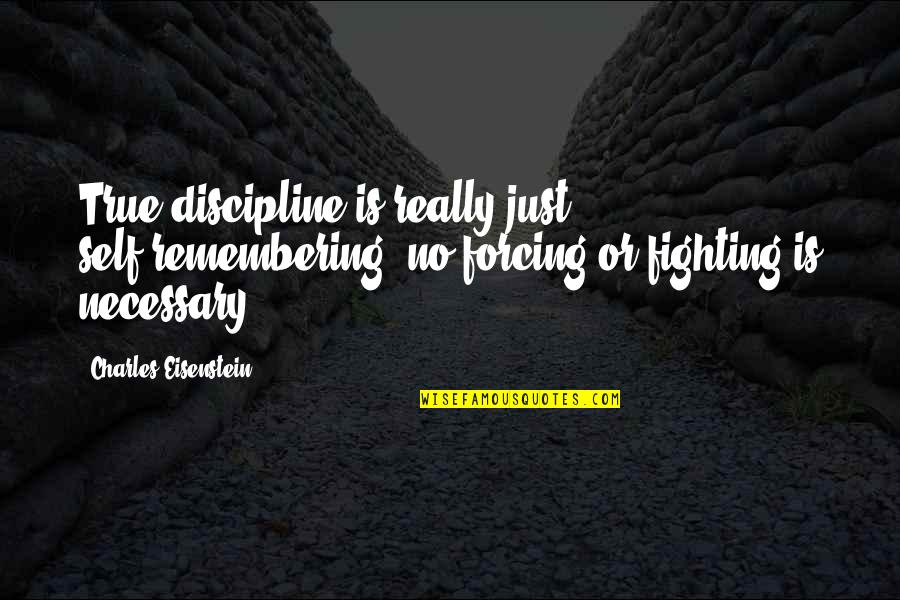 Fighting For Your Health Quotes By Charles Eisenstein: True discipline is really just self-remembering; no forcing Fighting For Your Health Quotes By Charles Eisenstein: True discipline is really just self-remembering; no forcing