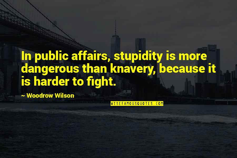 Fighting Harder Quotes By Woodrow Wilson: In public affairs, stupidity is more dangerous than