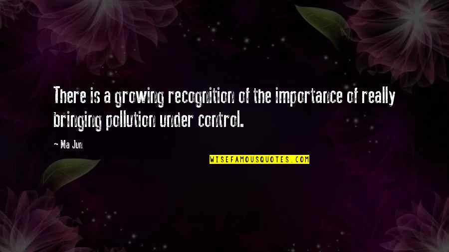 Fighting Isn't Worth It Quotes By Ma Jun: There is a growing recognition of the importance Fighting Isn't Worth It Quotes By Ma Jun: There is a growing recognition of the importance