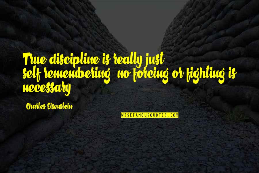 Fighting Self Quotes By Charles Eisenstein: True discipline is really just self-remembering; no forcing