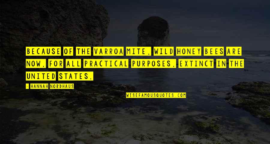 Fighty Dog Quotes By Hannah Nordhaus: Because of the varroa mite, wild honey bees Fighty Dog Quotes By Hannah Nordhaus: Because of the varroa mite, wild honey bees