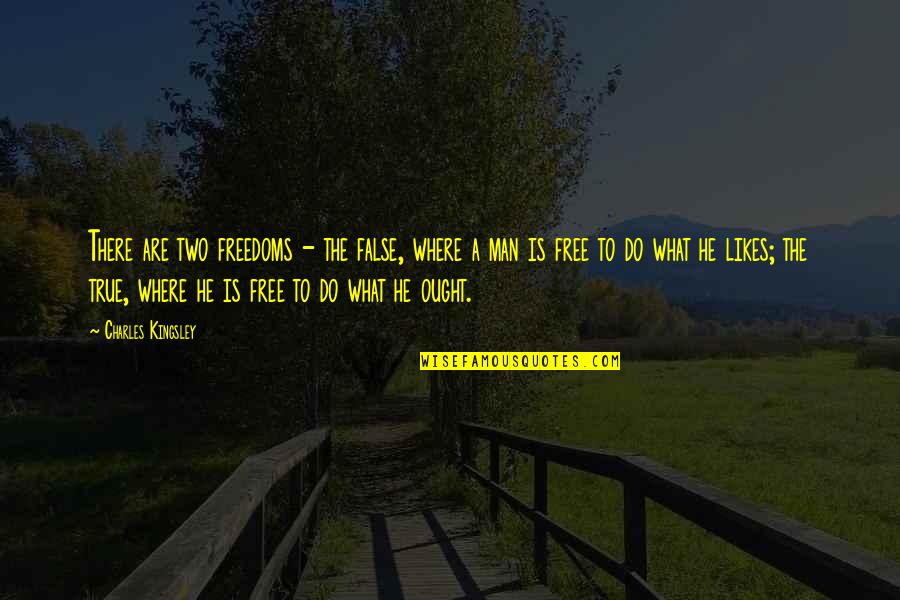 Figlia And Sons Quotes By Charles Kingsley: There are two freedoms - the false, where