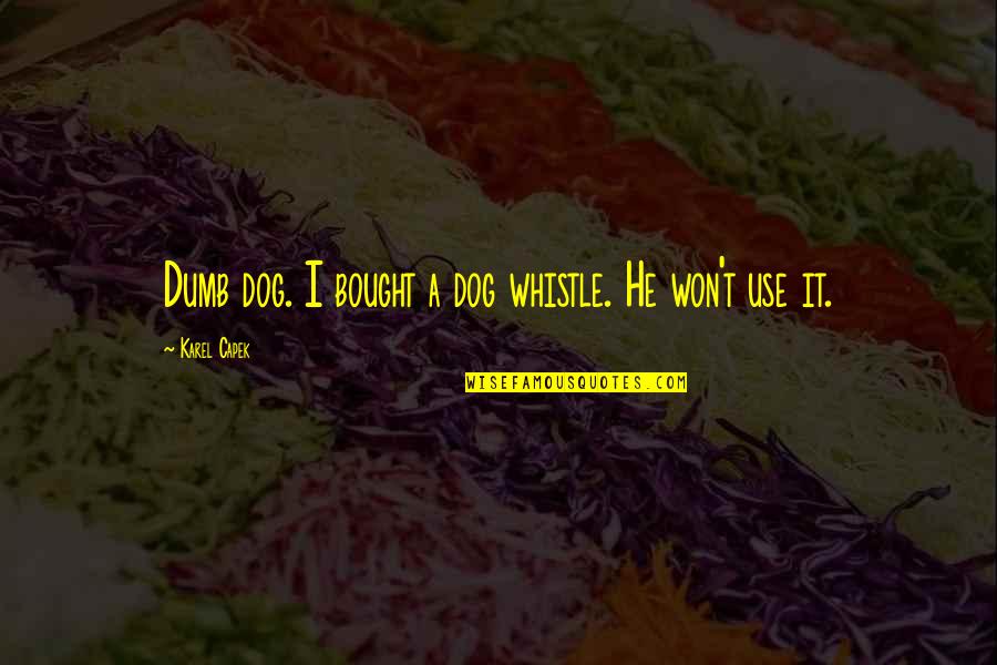 Figline Quotes By Karel Capek: Dumb dog. I bought a dog whistle. He Figline Quotes By Karel Capek: Dumb dog. I bought a dog whistle. He