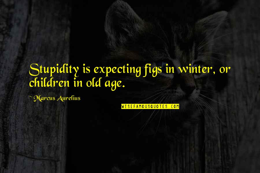 Figs Quotes By Marcus Aurelius: Stupidity is expecting figs in winter, or children