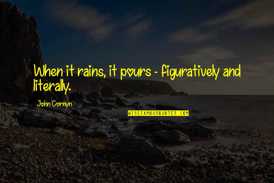Figuratively Quotes By John Cornyn: When it rains, it pours - figuratively and