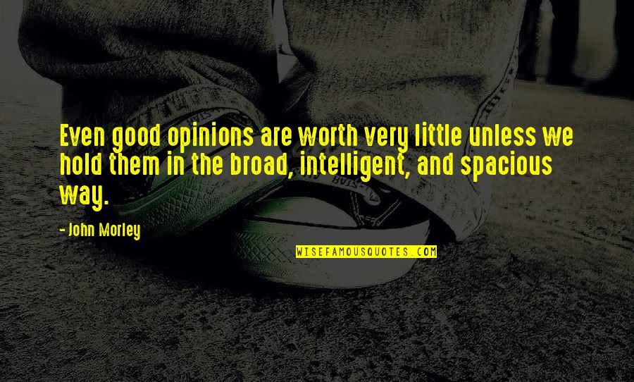 Figure Drawing Quotes By John Morley: Even good opinions are worth very little unless Figure Drawing Quotes By John Morley: Even good opinions are worth very little unless