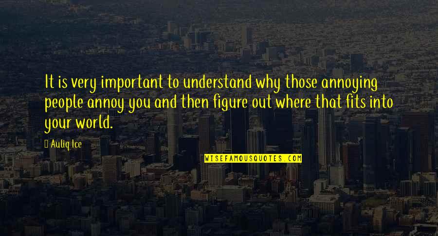 Figure Life Out Quotes By Auliq Ice: It is very important to understand why those