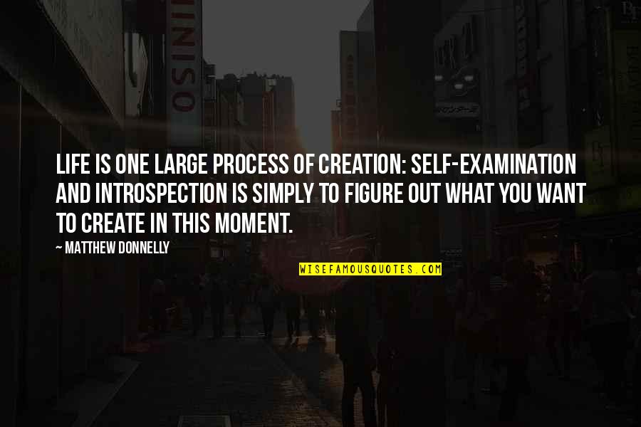 Figure Life Out Quotes By Matthew Donnelly: Life is one large process of creation: Self-Examination