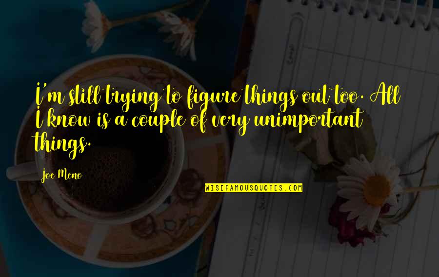 Figure Things Out Quotes By Joe Meno: I'm still trying to figure things out too. Figure Things Out Quotes By Joe Meno: I'm still trying to figure things out too.